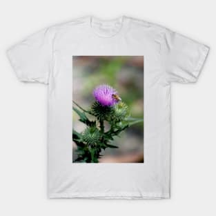 Thistle With Bee T-Shirt